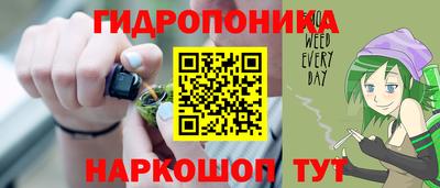 индика Краснознаменск