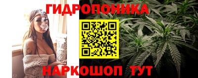 индика Краснознаменск
